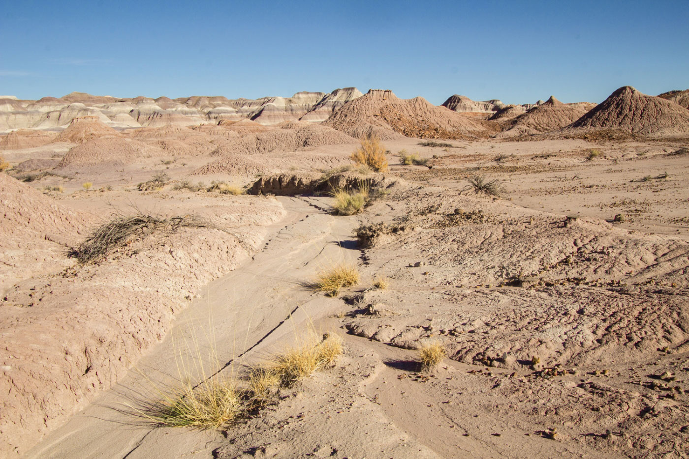 Hike Clam Beds and Red Basin Loop in Petrified Forest National Park, Arizona - Stav is Lost