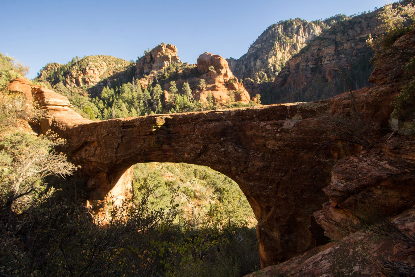 Hike Vultee Arch via Sterling Pass in Coconino National Forest, Arizona - Stav is Lost