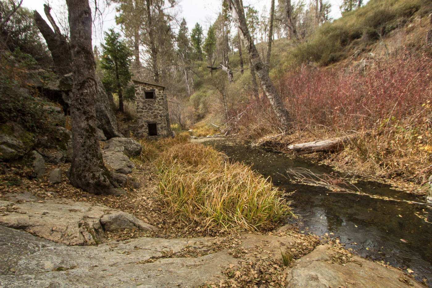 Hike Boucher Lookout via Doane Valley Loop in Palomar Mountain State Park, California - Stav is Lost