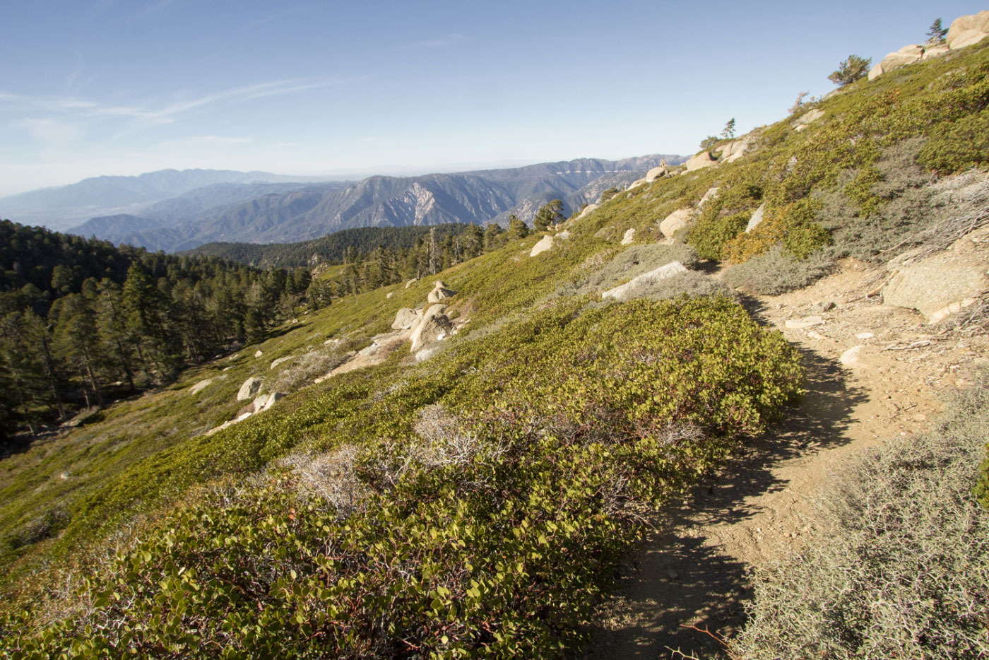Hike Anderson Peak and San Bernardino Peak via Forsee Loop in San Bernardino National Forest, California - Stav is Lost