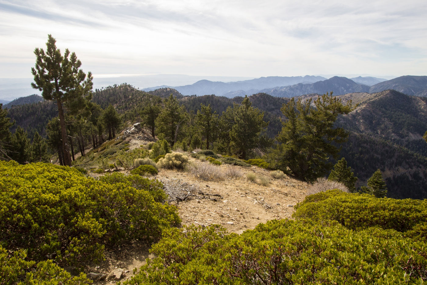 Hike Mount Baden-Powell, Throop Peak, Mount Islip Traverse in Angeles National Forest, California - Stav is Lost