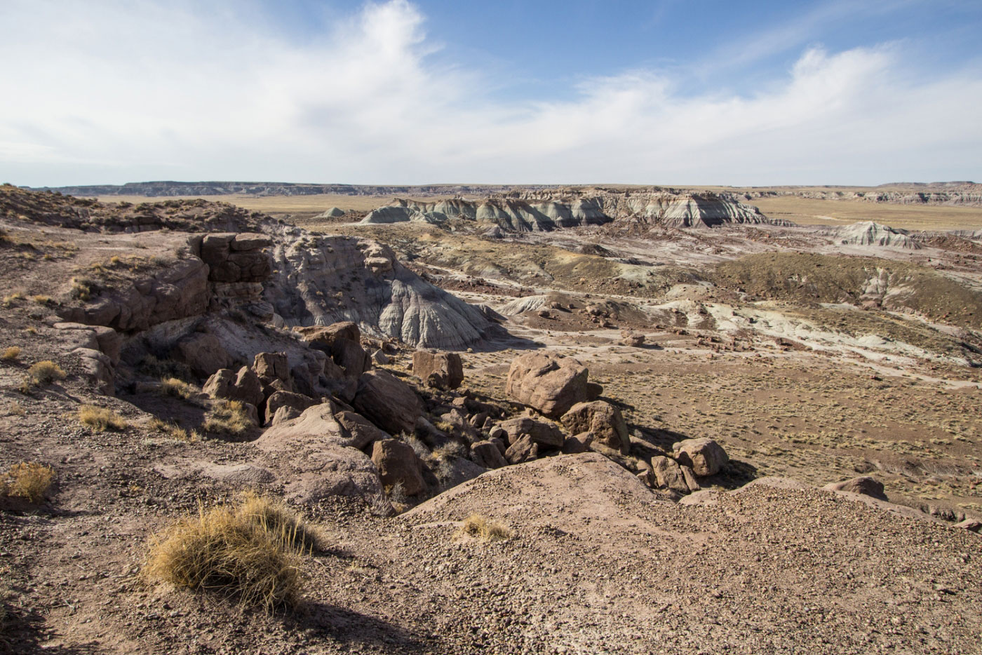 Hike Jasper Forest in Petrified Forest National Park, Arizona - Stav is Lost
