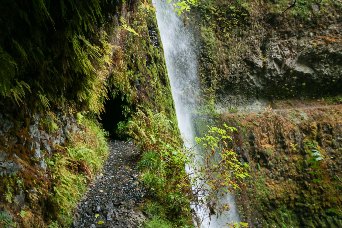 Hike Tunnel Falls via Eagle Creek Trail in Columbia River Gorge National Scenic Area, Oregon - Stav is Lost
