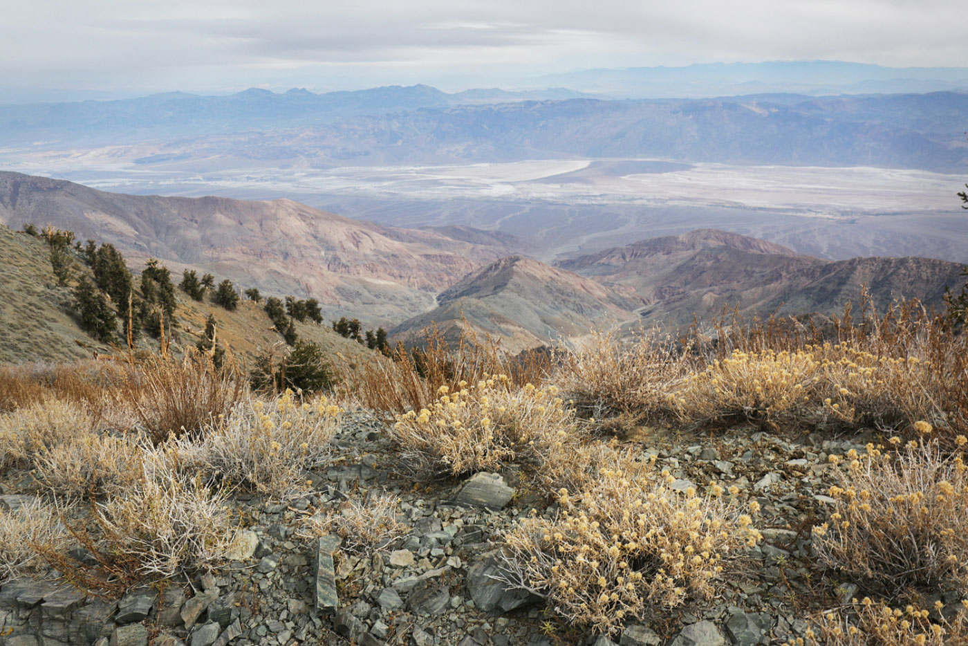 Hike Telescope Peak in Death Valley National Park, California - Stav is Lost