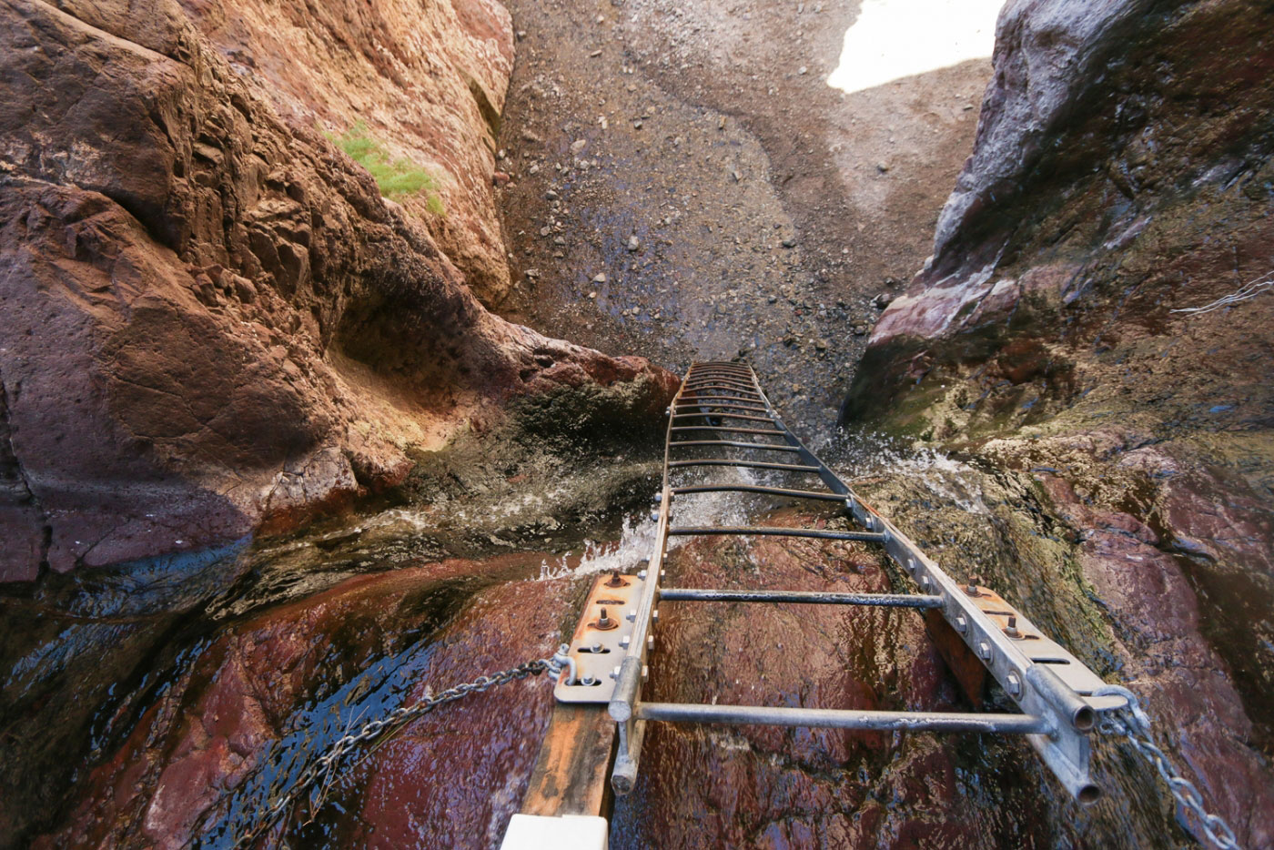 Hike Arizona Hot Springs and White Rock Canyon Loop in Lake Mead National Recreation Area, Arizona - Stav is Lost