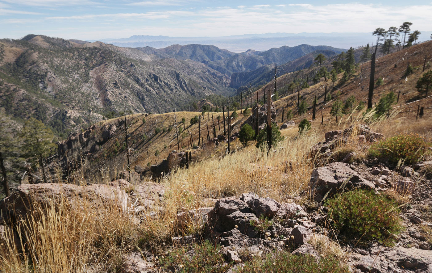 Hike Chiricahua Peak via Mormon Ridge and Pole Bridge Loop in Coronado National Forest, Arizona - Stav is Lost
