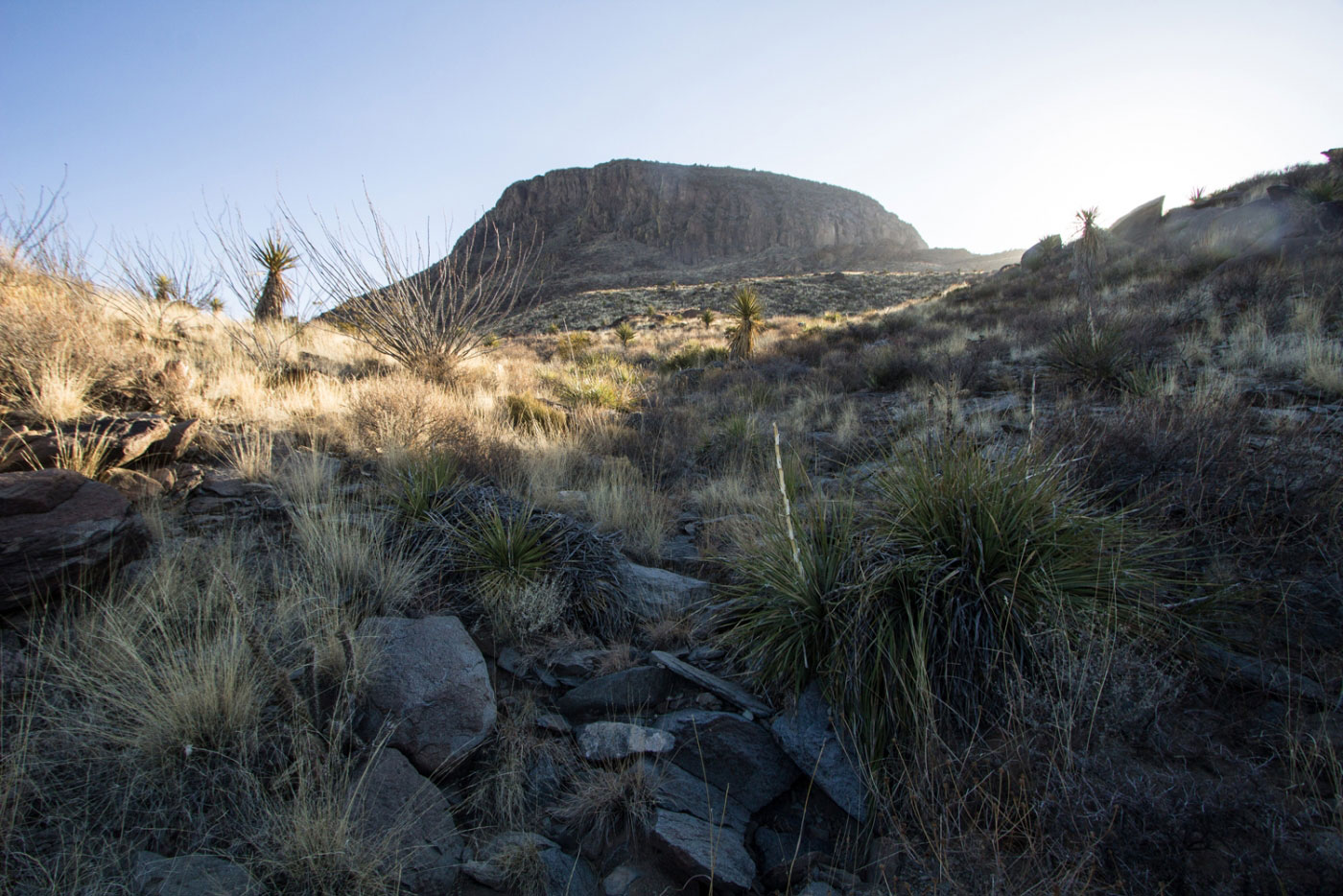 Hike Alamo Mountain in Cornudas Mountains BLM, New Mexico - Stav is Lost