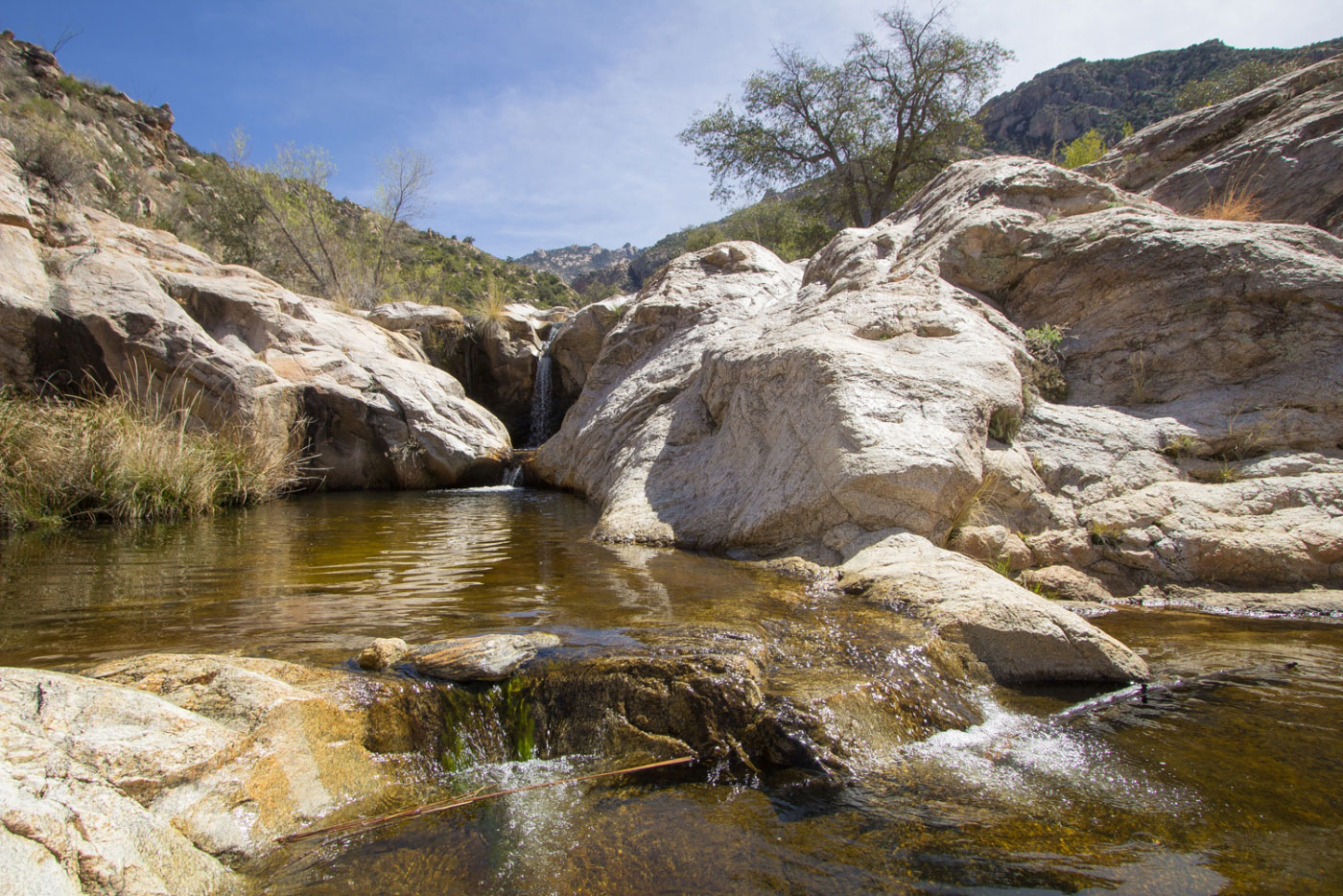 Hike Romero Pools via Romero Canyon in Catalina State Park, Arizona - Stav is Lost