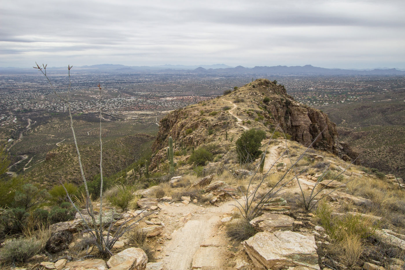 Hike Blackett's Ridge in Coronado National Forest, Arizona - Stav is Lost
