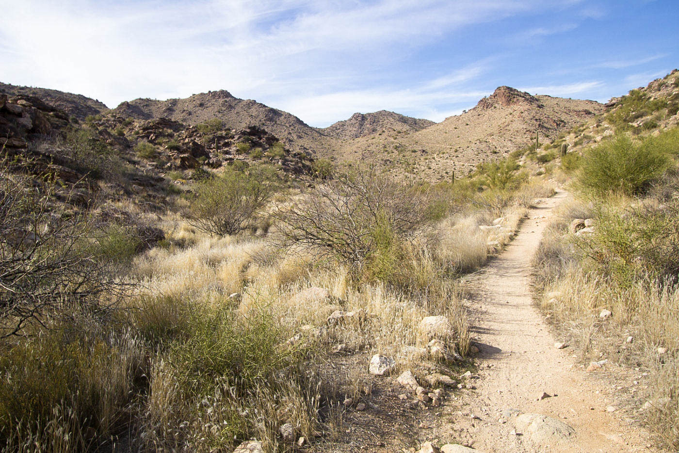 Hike Barry Goldwater Peak via Goat Camp and Mesquite Canyon Loop in White Tank Mountain Regional Park, Arizona - Stav is Lost