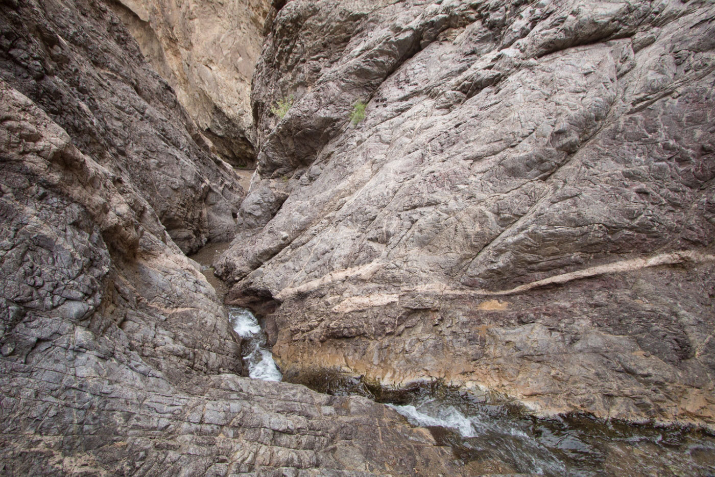 Boy Scout Hot Springs and North Fork Boy Scout Canyon Loop in Lake Mead National Recreation Area, NV