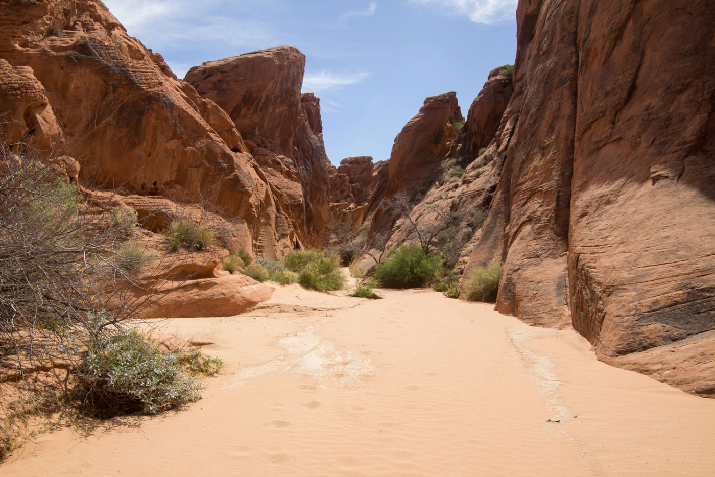 Fire Canyon Wash in Valley of Fire State Park, NV
