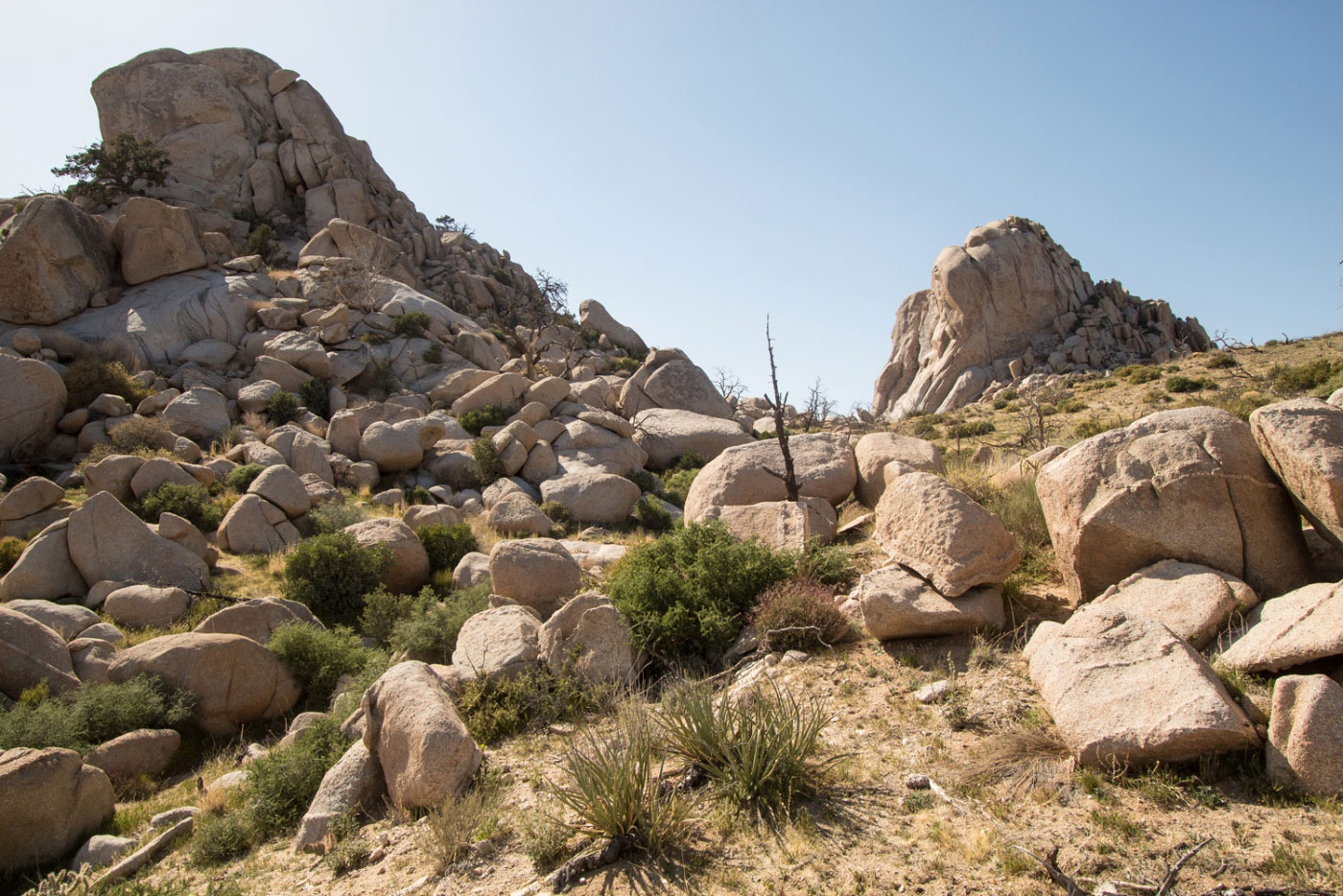 Hike Eagle Rocks in Mojave National Preserve, California - Stav is Lost