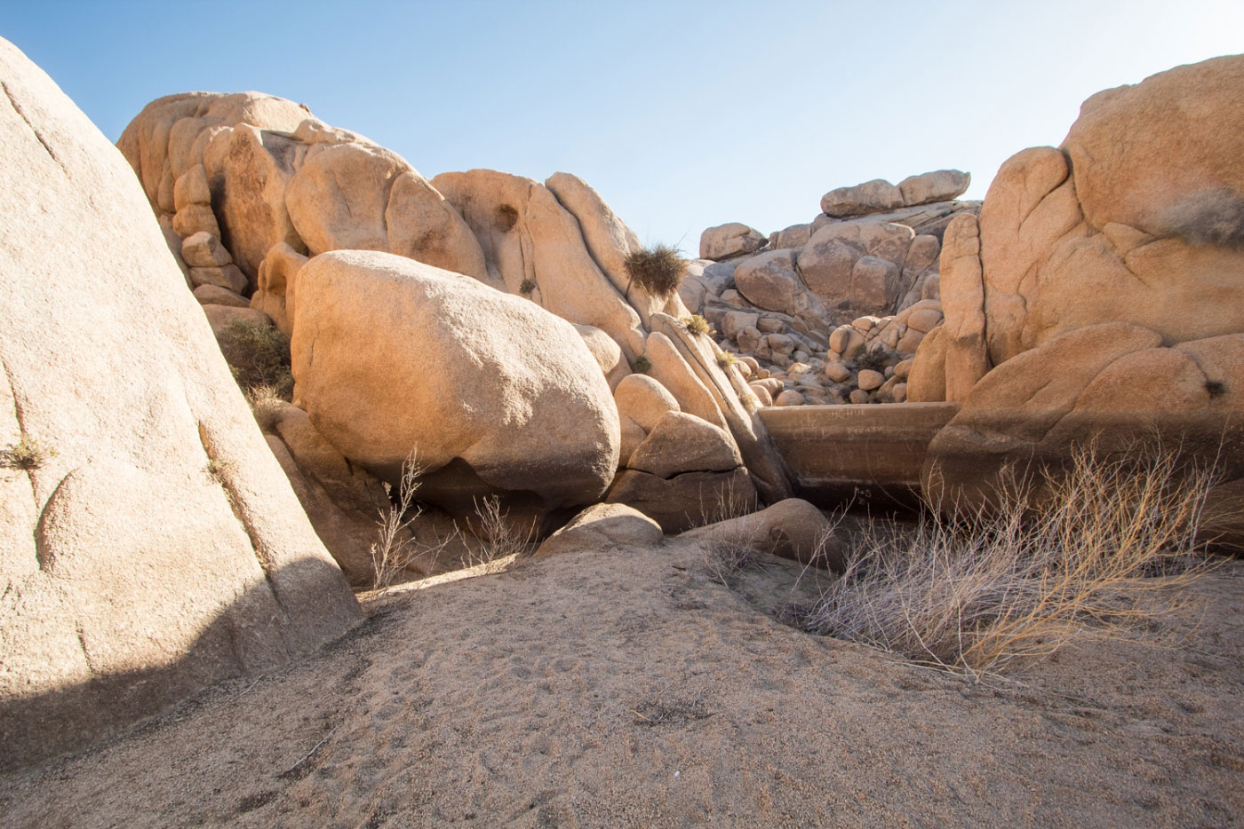 Hike Arch Rock and Grand Tank in Joshua Tree National Park, California - Stav is Lost