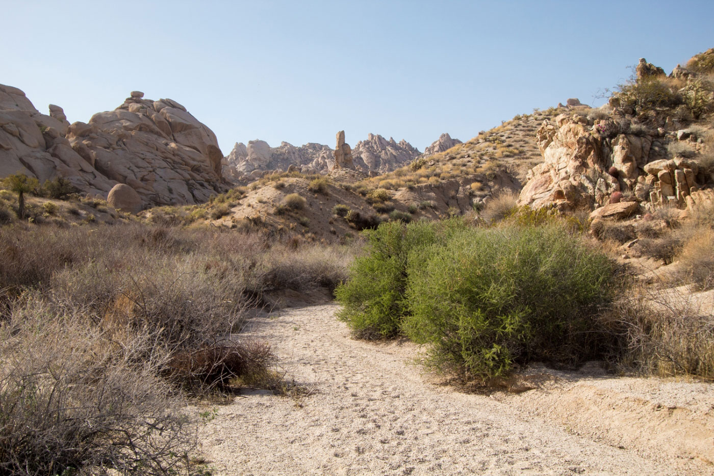 Hike Upper Grapevine Canyon and Sacatone Wash Loop in Lake Mead National Recreation Area, Nevada - Stav is Lost