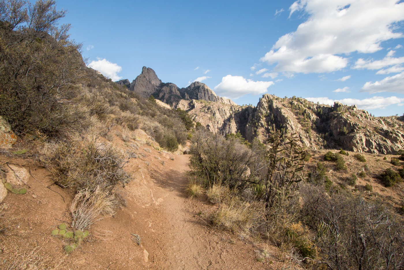 Hike Sandia Crest via La Luz Trail in Cibola National Forest, New Mexico - Stav is Lost