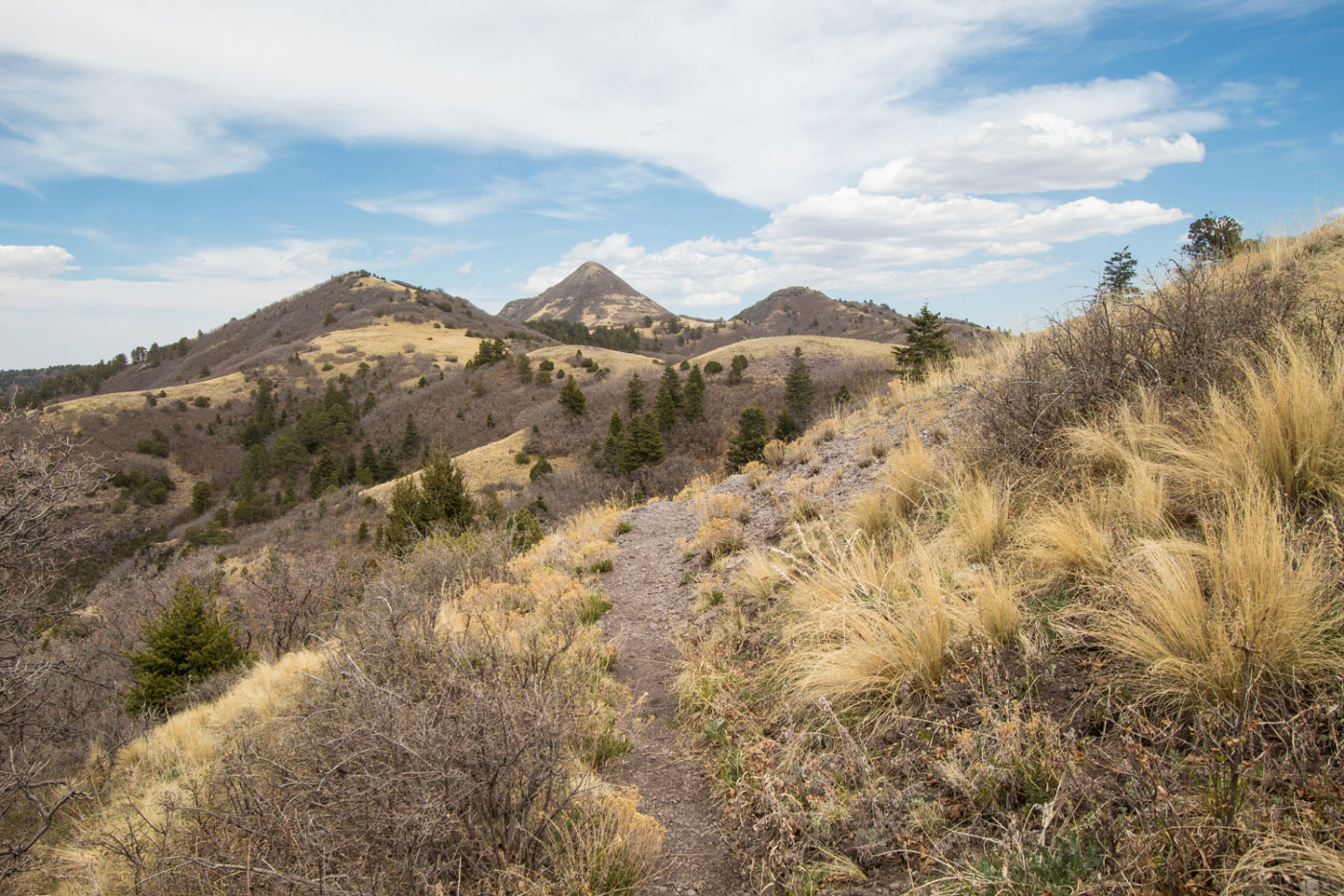 Hike White Horse Hill to Nogal Peak via Crest Trail Loop in Lincoln National Forest, New Mexico - Stav is Lost