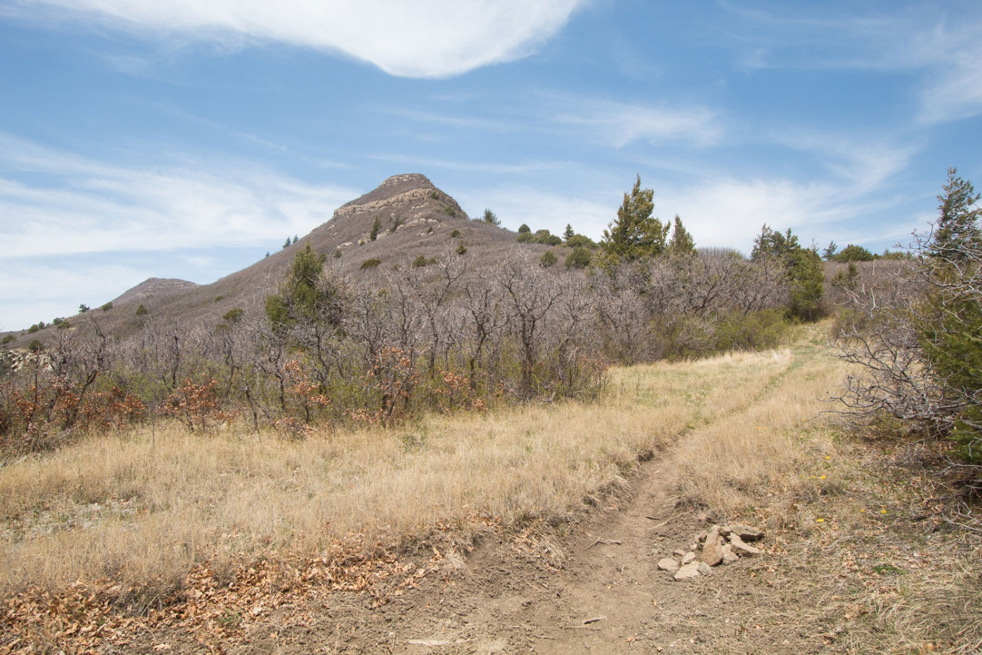 Hike Fourth of July and Mosca Loop in Cibola National Forest, New Mexico - Stav is Lost