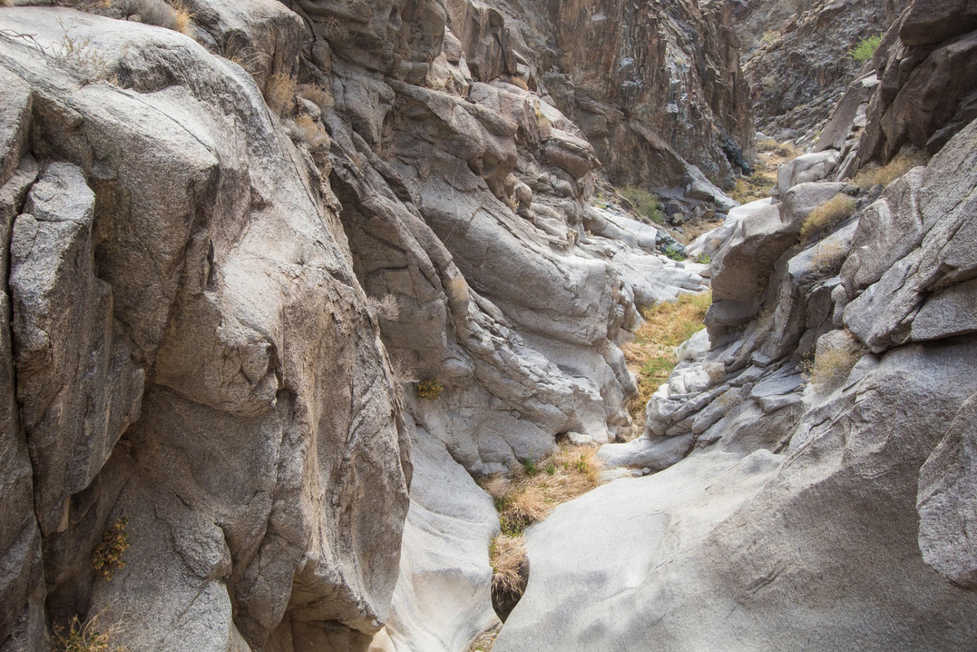 Hike Lower Grapevine Canyon in Lake Mead National Recreation Area, Nevada - Stav is Lost
