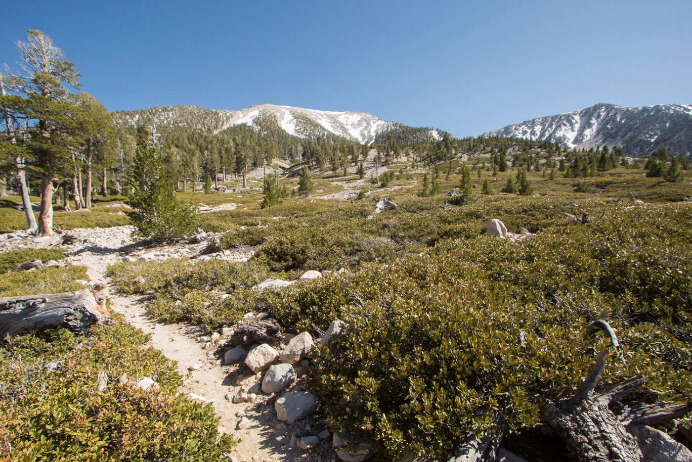 Hike San Gorgonio Mountain via South Fork and Dry Lake Loop in San Bernardino National Forest, California - Stav is Lost