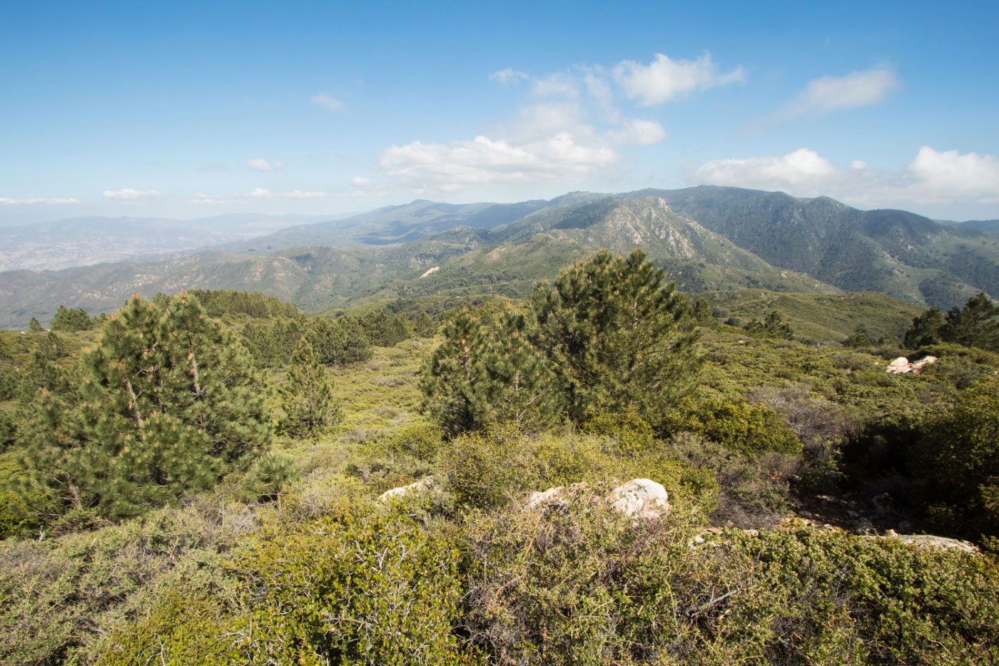 Hike Agua Tibia Mountain via Dripping Springs Trail in Cleveland National Forest, California - Stav is Lost