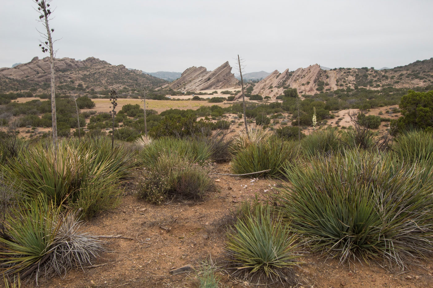 Hike Vasquez Rocks Natural Area in LA County Park System, California - Stav is Lost