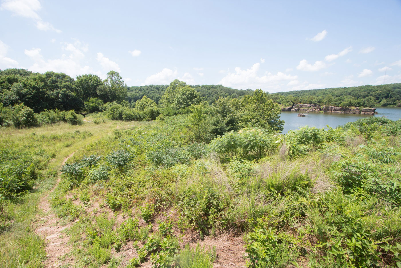 Hike Eagle View and Lake Loop in Lincoln Lake City Park, Arkansas - Stav is Lost
