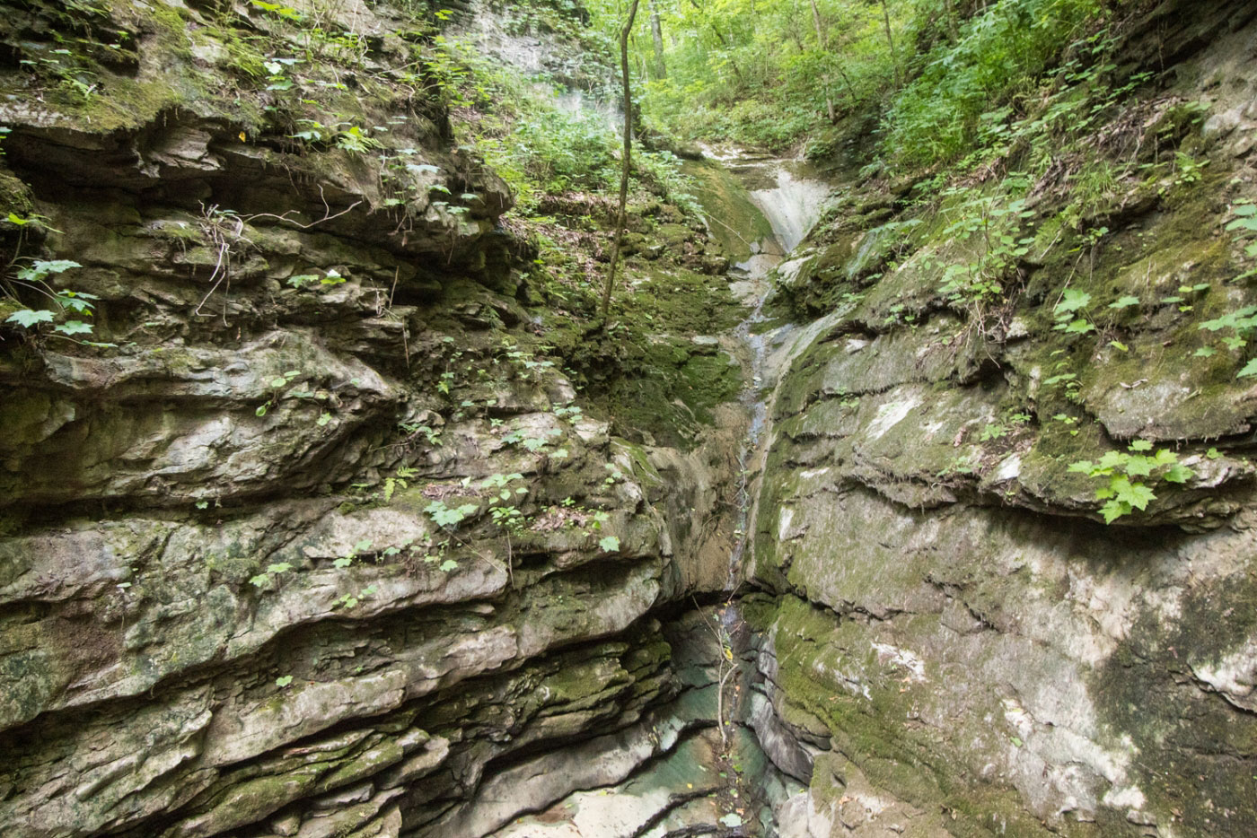 Hike QuiVaLa Elise Falls in Smith Creek Preserve, Arkansas - Stav is Lost