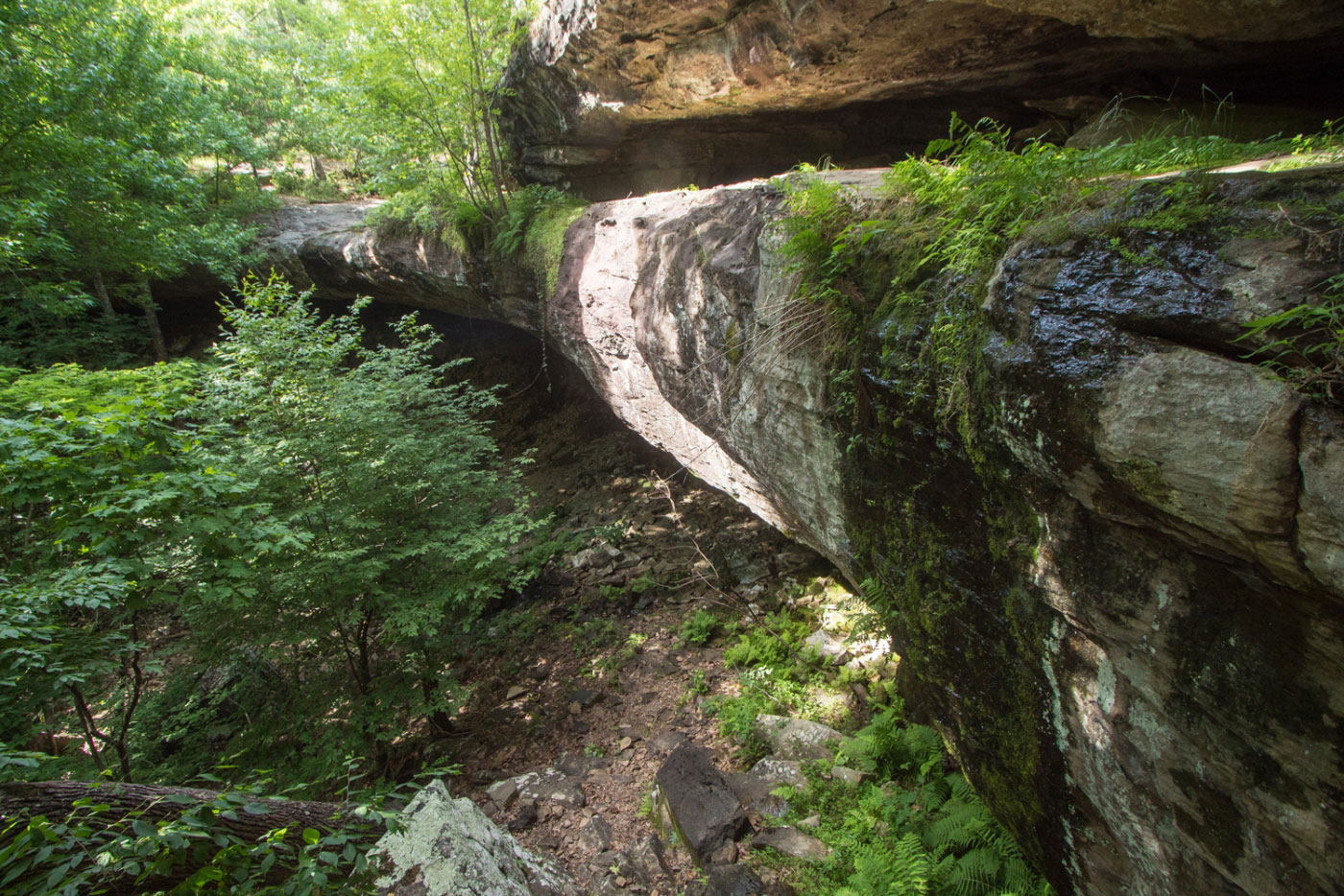 Hike Hideout Hollow in Buffalo National River, Arkansas - Stav is Lost