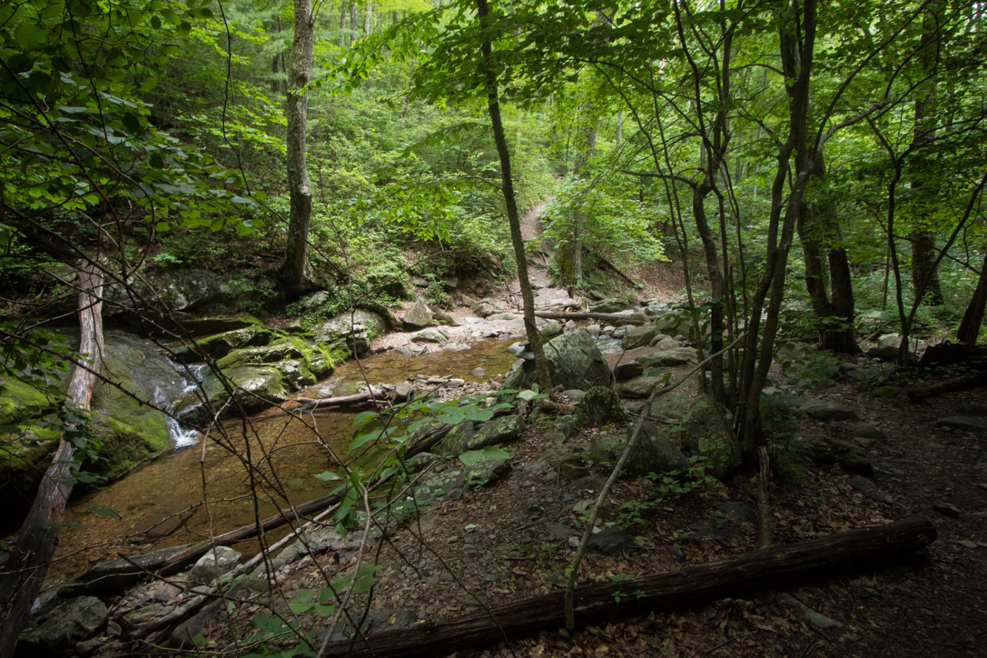 Hike White Rock Gap and Torry Ridge Loop in George Washington National Forest, Virginia - Stav is Lost