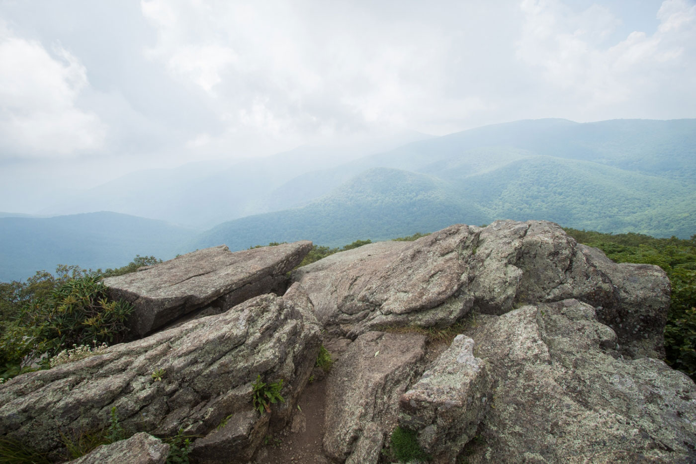 Hike Mount Pleasant and Cole Mountain in George Washington National Forest, Virginia - Stav is Lost