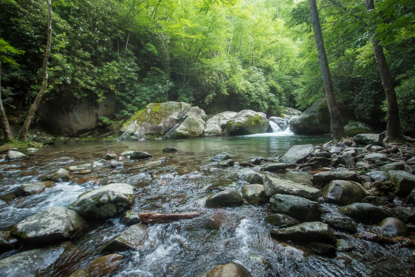 Hike Mount Cammerer via Chestnut Branch and Big Creek Loop in Great Smoky Mountains National Park, North Carolina - Stav is Lost