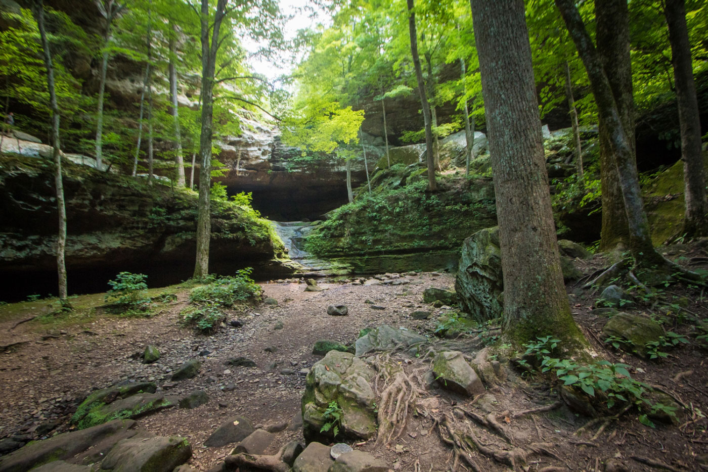 Hike Happy Hollow, Hawk’s Cave, Ferne Clyffe Falls Loop in Ferne Clyffe State Park, Illinois - Stav is Lost