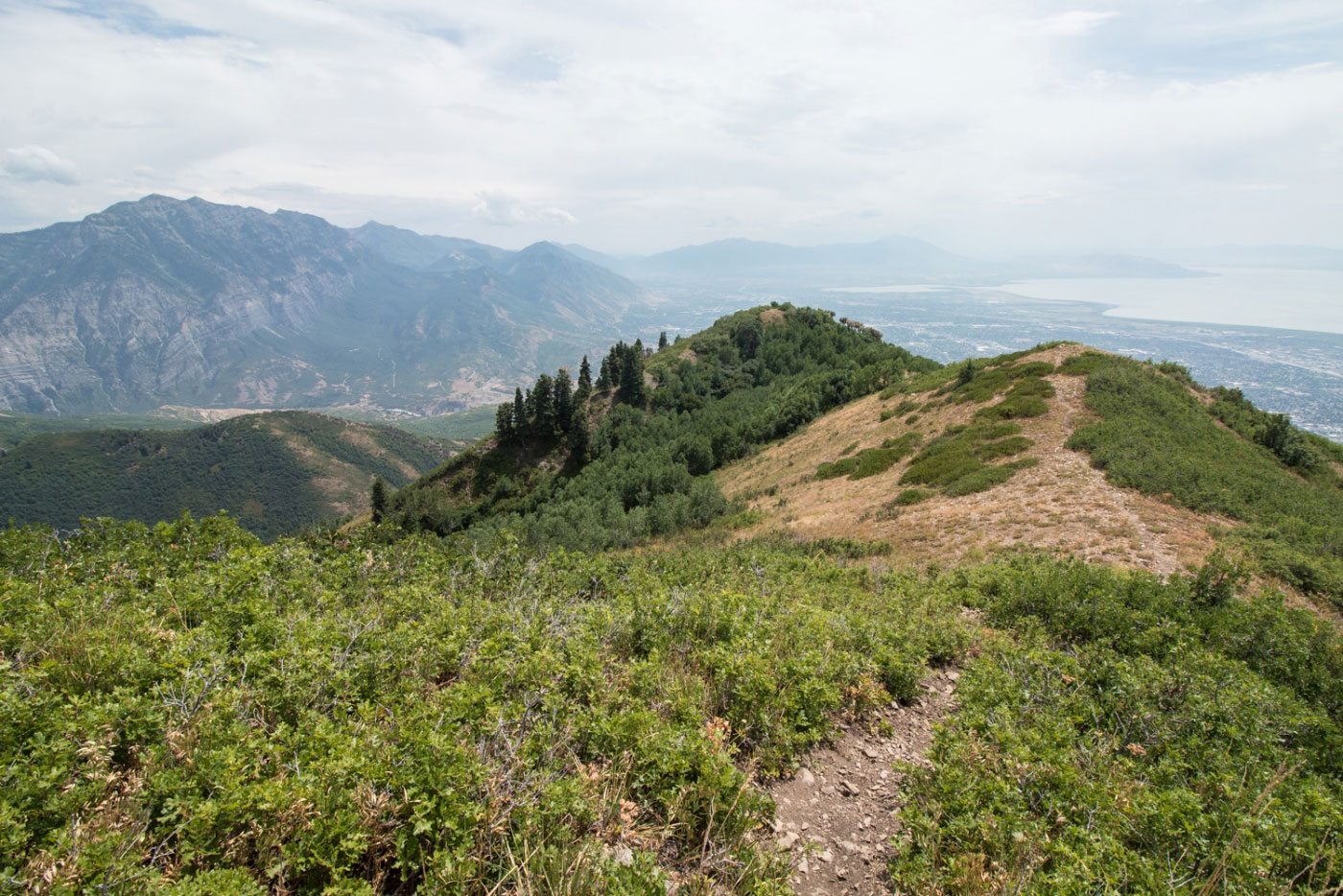 Hike Big Baldy Peak via Dry Canyon in Wasatch-Cache National Forest, Utah - Stav is Lost