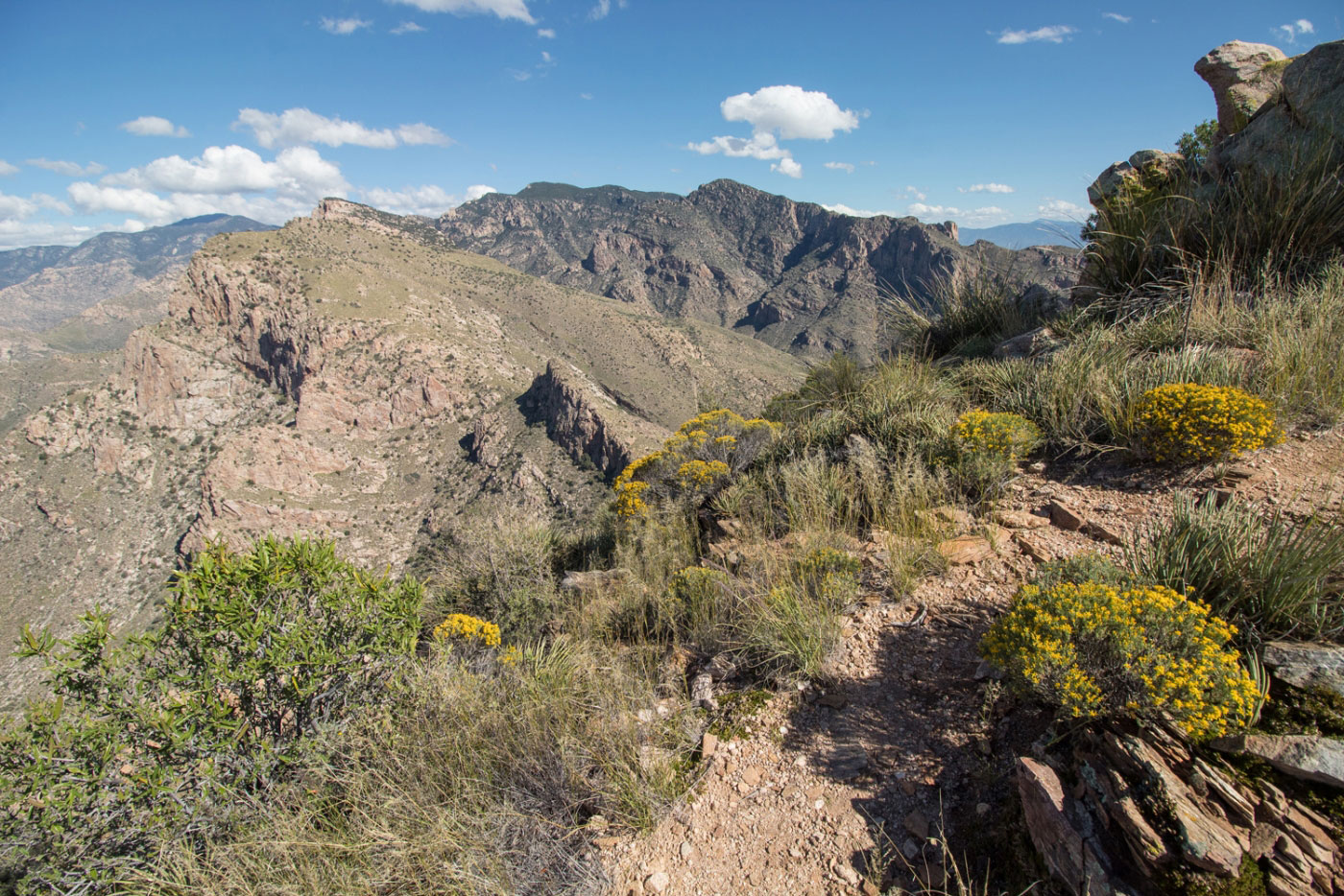 Hike Pusch Peak in Coronado National Forest, Arizona - Stav is Lost