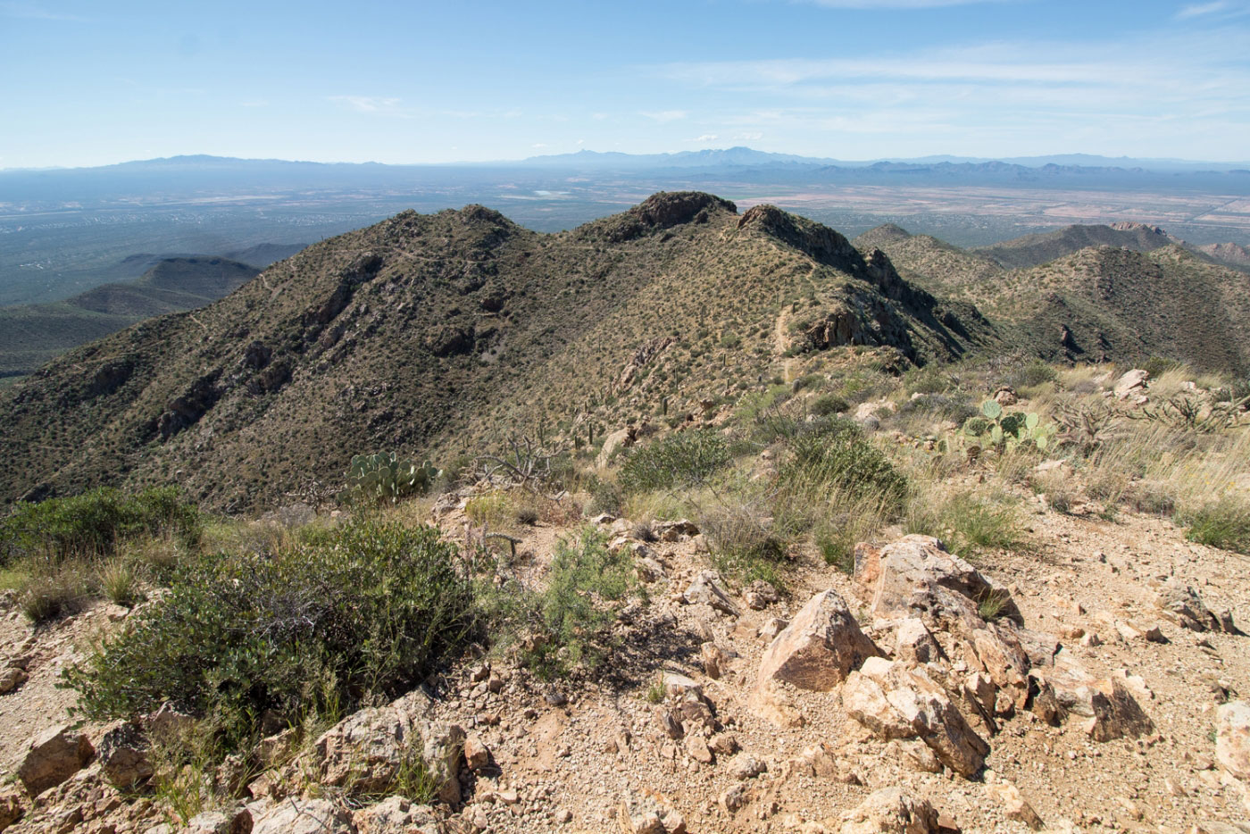 Hike Wasson Peak via Sweetwater Trail in Saguaro National Park, Arizona - Stav is Lost