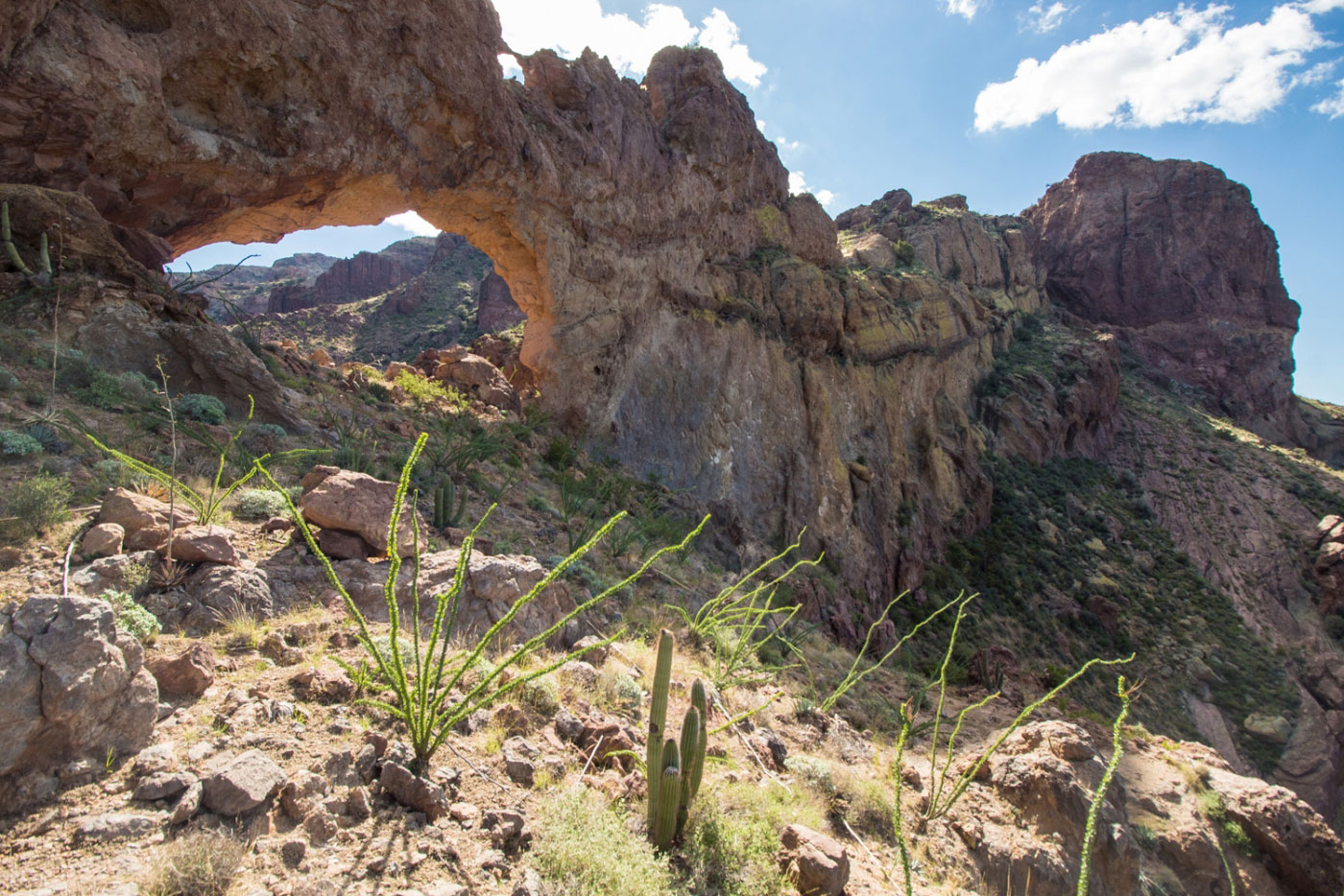 Double Arch via Arch Canyon in Organ Pipe Cactus National Monument, AZ