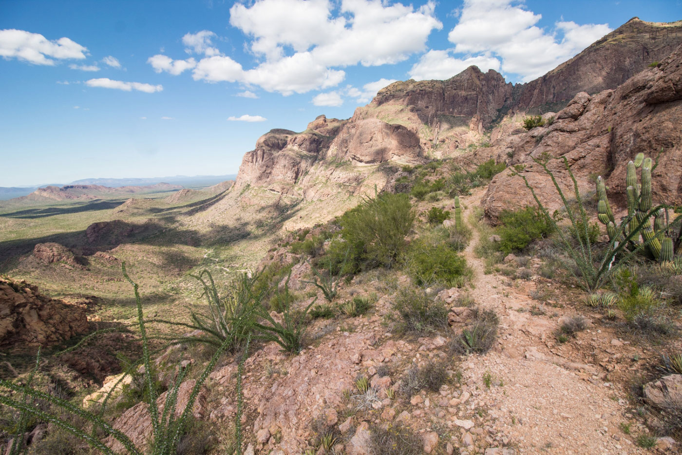 Hike Mount Ajo via Bull Pasture Trail in Organ Pipe Cactus National Monument, Arizona - Stav is Lost