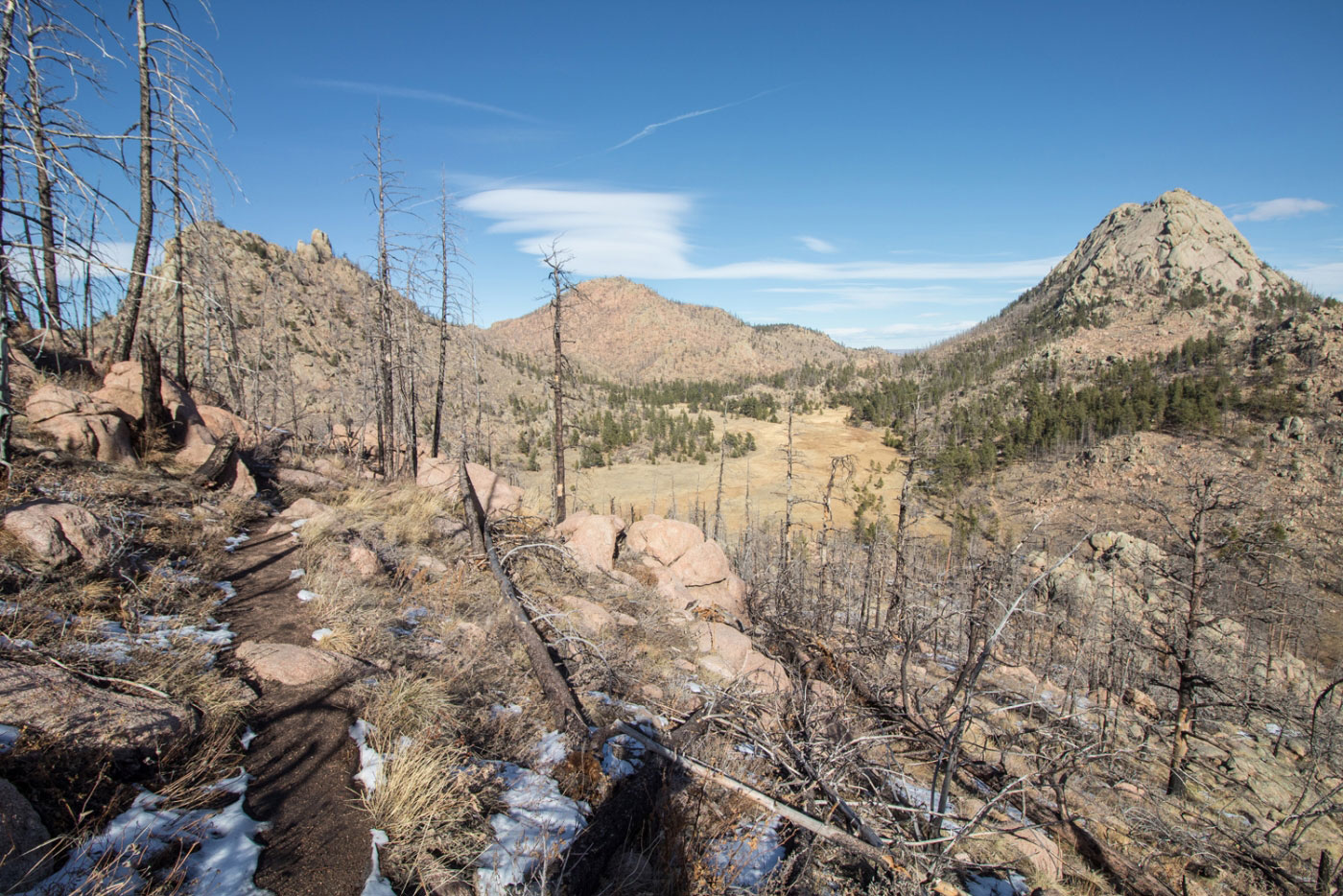 Hike Greyrock Mountain Meadows Loop in Roosevelt National Forest, Colorado - Stav is Lost