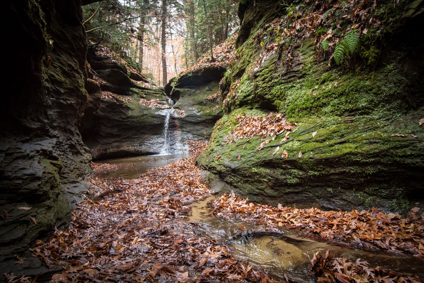 Hike Rocky Hollow Falls Canyon Loop in Turkey Run State Park, Indiana - Stav is Lost