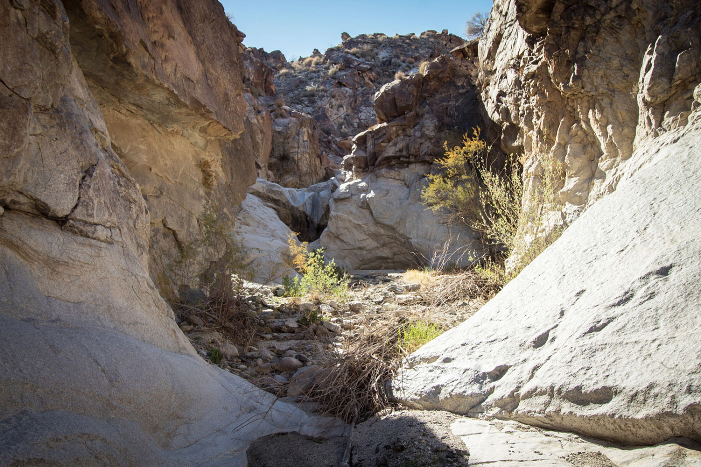 Hike Pipe Spring Canyon in Lake Mead National Recreation Area, Nevada - Stav is Lost