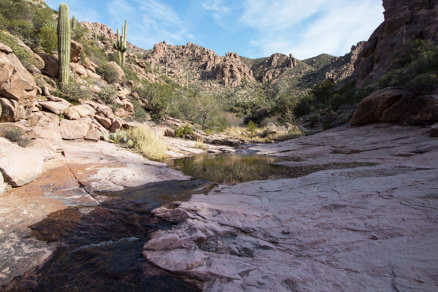 Hike Bluff Spring and Whiskey Spring Loop in Tonto National Forest, Arizona - Stav is Lost