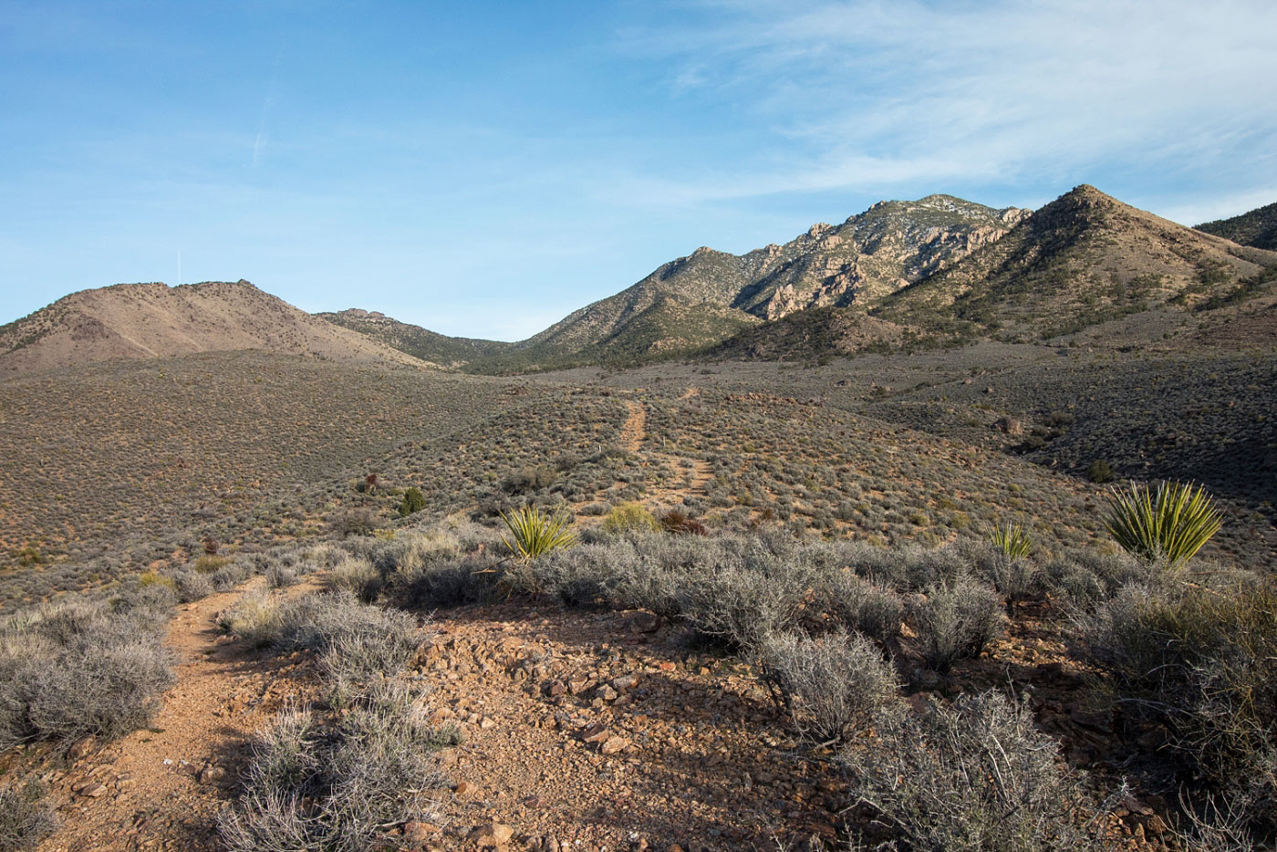 Hike Mount Tipton in Mount Tipton Wilderness Area BLM, Arizona - Stav is Lost