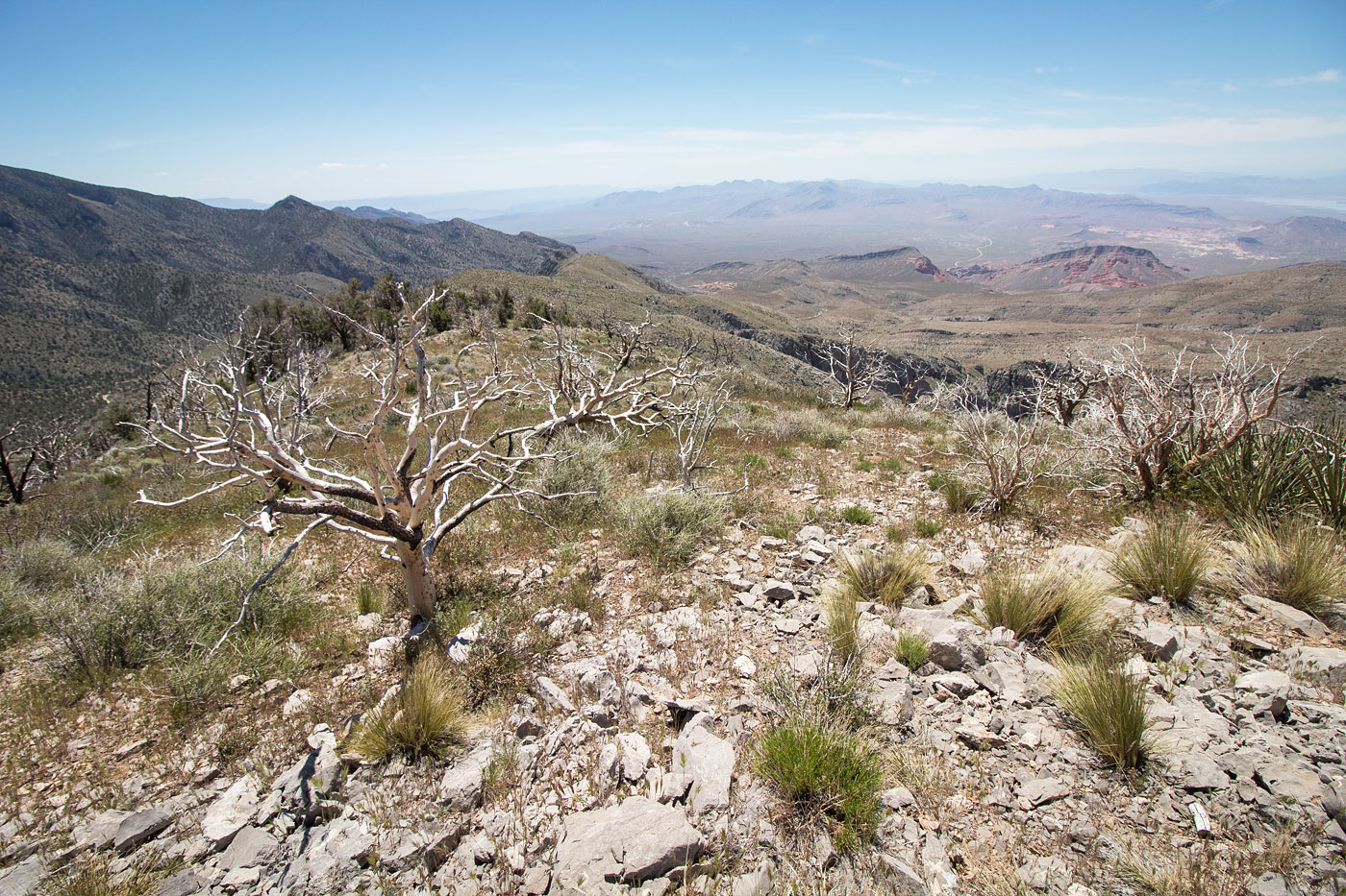 Hike Virgin Peak in Gold Butte National Monument, Nevada - Stav is Lost