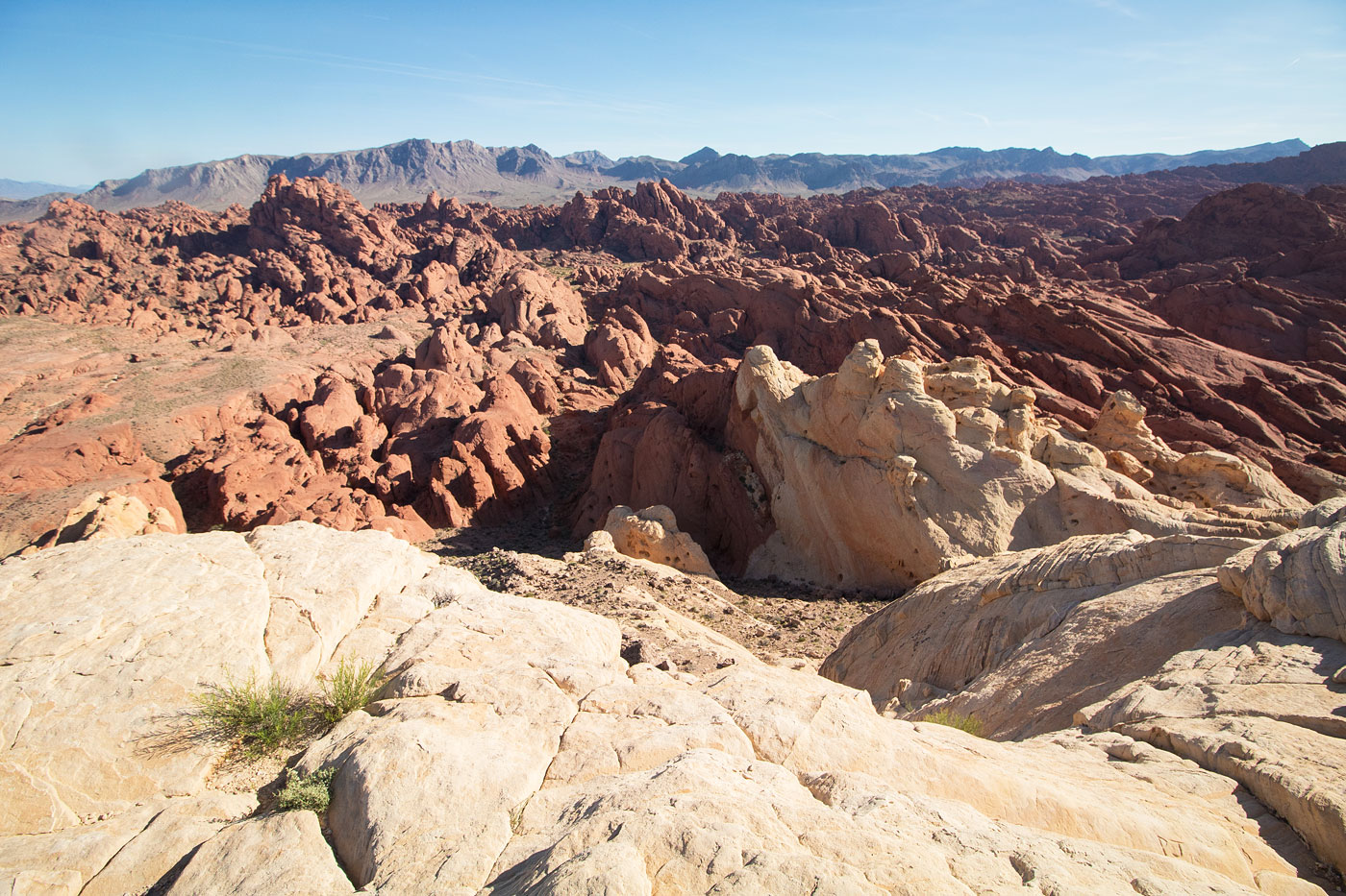 Hike Silica Dome in Valley of Fire State Park, Nevada - Stav is Lost