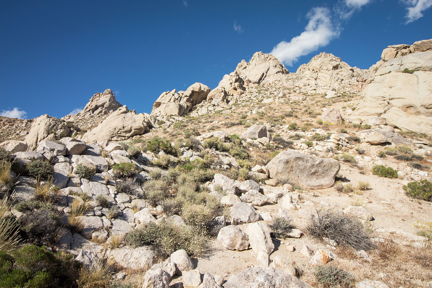 Hike Five Fingers Mountain in Owens Peak Wilderness Area, California - Stav is Lost