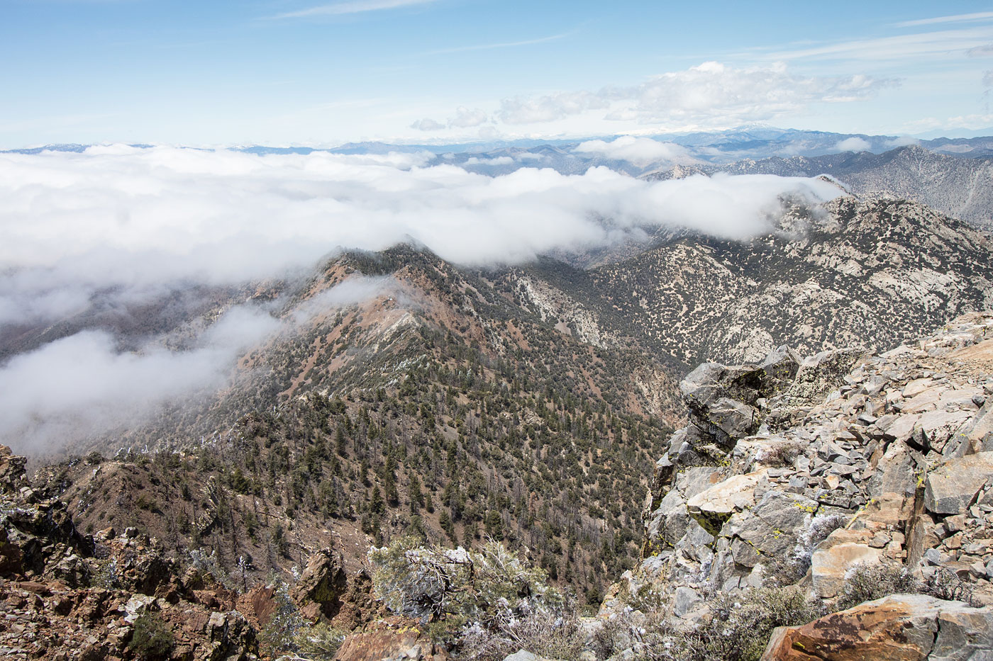 Hike Owens Peak, Jenkins Mountain, and Morris Peak in Owens Peak Wilderness Area, California - Stav is Lost