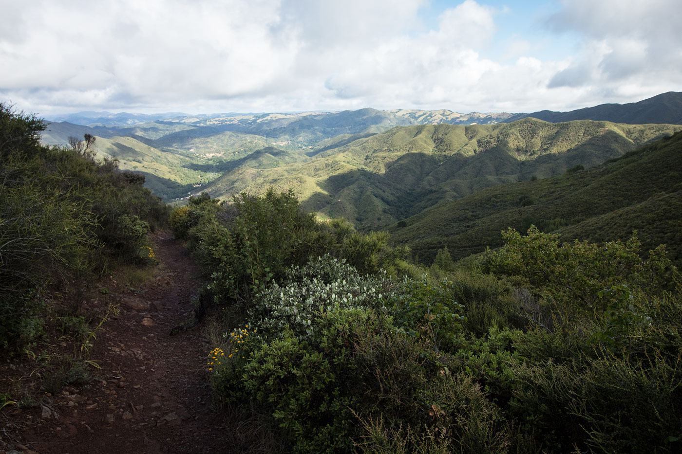 Hike Cerro Alto Loop in Los Padres National Forest, California - Stav is Lost