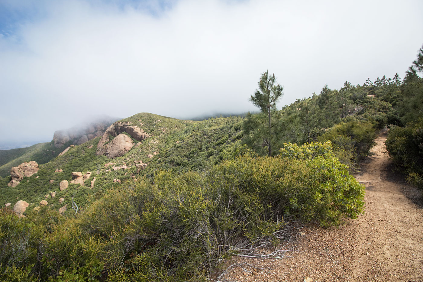 Hike Machesna Mountain in Los Padres National Forest, California - Stav is Lost