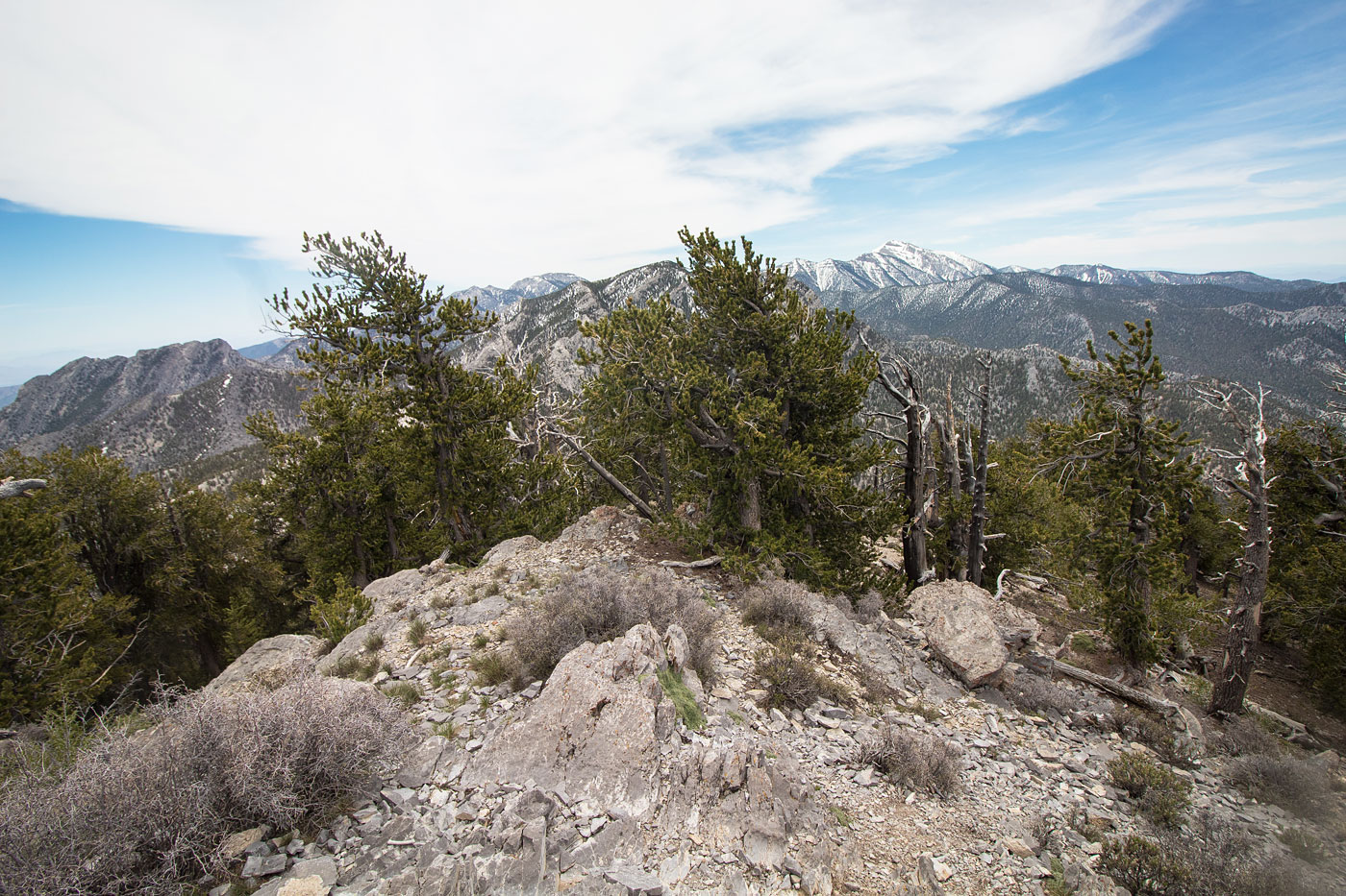 Hike Bonanza Peak in Spring Mountains National Recreation Area, Nevada - Stav is Lost